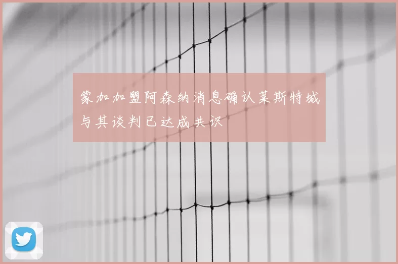 蒙加加盟阿森纳消息确认莱斯特城与其谈判已达成共识