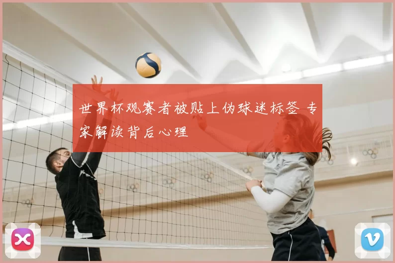 世界杯观赛者被贴上伪球迷标签 专家解读背后心理