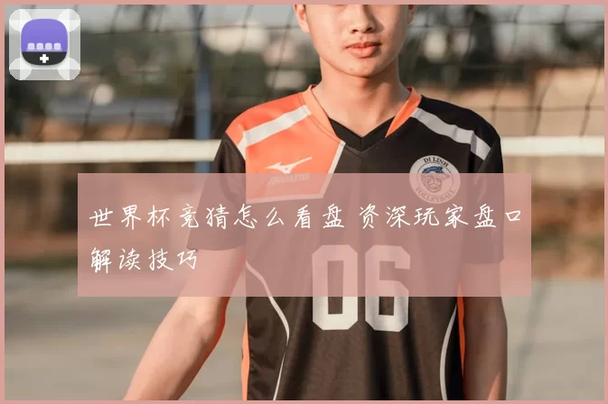 世界杯竞猜怎么看盘 资深玩家盘口解读技巧