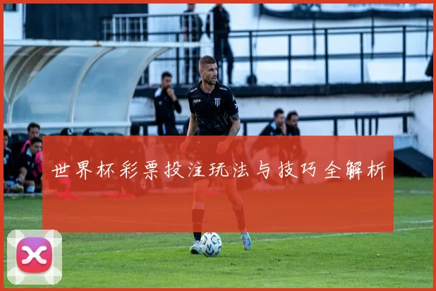 世界杯彩票投注玩法与技巧全解析