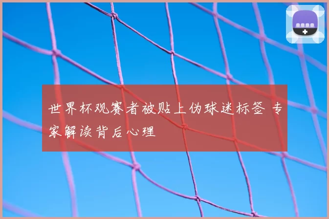 世界杯观赛者被贴上伪球迷标签 专家解读背后心理
